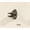 Iron, variant on Amore Designs GCEBK30CP Beak Copper Shelf Bracket