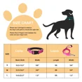 thumbnail image 7 of Jumpress Reflective Dog Collar and Leash set,Durable Padded Large Dog Collar & 5ft Leash, Hot Pink,L, 7 of 7