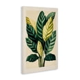 thumbnail image 2 of Stupell Industries Tropical Tropical Leaves Green Branches Canvas Art, 24 x 36, by Petals Prints Design, 2 of 7