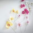 thumbnail image 3 of Crystal Candy Make-an-Orchid Wafer-Paper Flowers, Magenta, 3 of 4