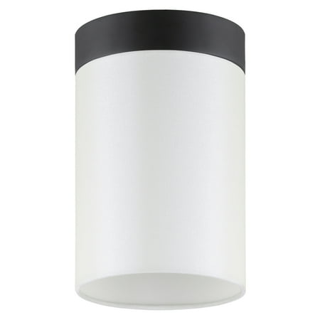 

Evelyn&Zoe Modern/Contemporary 6 Wide Blackened Bronze Semi Flush Mount