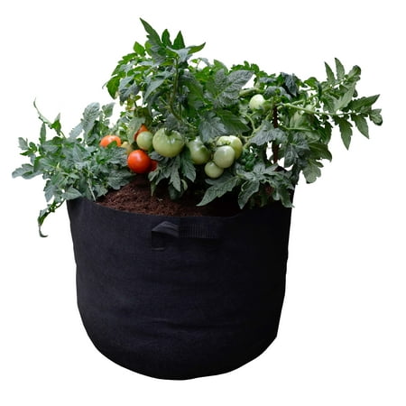 Mini Raised Bed Fabric Pot Container with Coir/Coco Growing Media