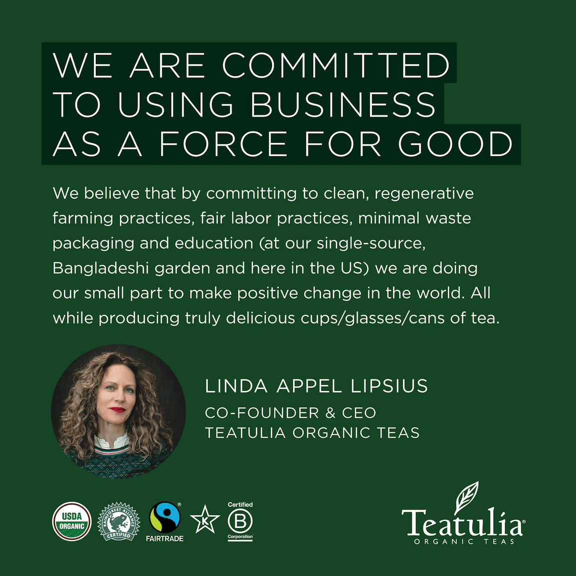 Teatulia Organic Energy Red Herbal Tea Canister 30ct Standard Tea Bags