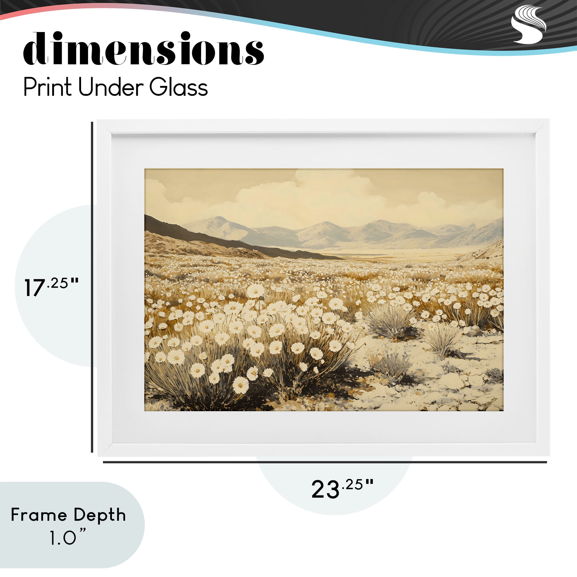 Stupell Industries Desert Wildflowers in Golden Valley White Framed Print Under Glass, design by Franklyn Gregory