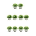 thumbnail image 1 of Guardoinrt 2piece Potted Simulation Plants Adding Beauty And Style To Any Setting Durable Pot Bonsai Ornament Clear white 5Set, 1 of 6