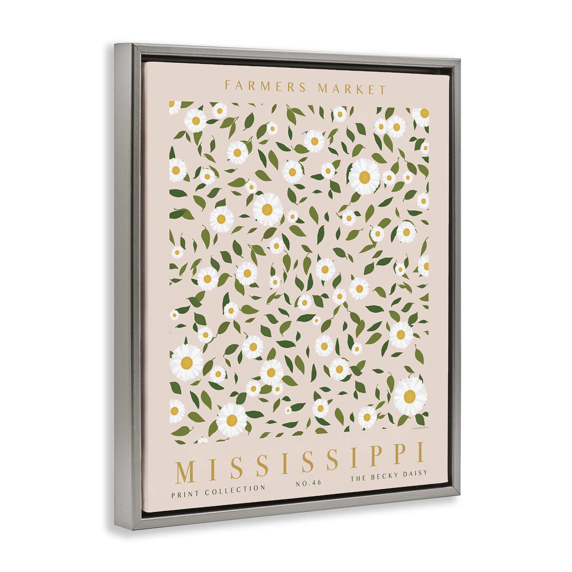 Stupell Industries Mississippi Daisy Pattern Typography Painting Gray Floater Framed Art Print Wall Art, 25 x 31