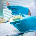 thumbnail image 3 of 30pcs Plastic Petri Dish with Lid Tissue Culture Plate Science Experiment Supplies, 3 of 8