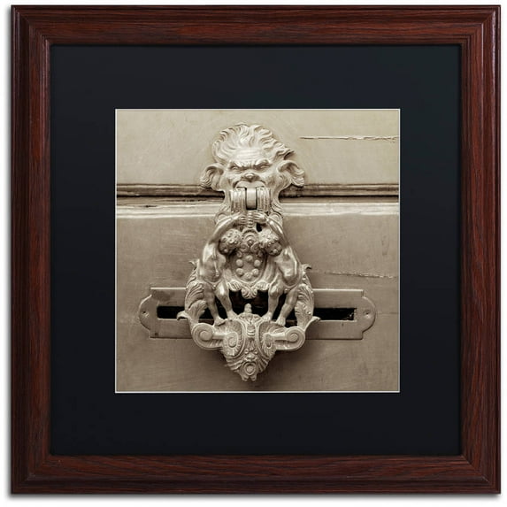 Trademark Fine Art "La Porta Soprammobile IV" Canvas Art by Alan Blaustein, Black Matte, Wood Frame