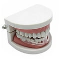 thumbnail image 3 of Sleeping teeth grinding night teeth guard teeth grinding dental mouth guard durable, 3 of 5