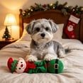 thumbnail image 4 of Holiday Dog Toy, Squeaky Plush Chew Gift for Small Medium Dogs, G, 4 of 6