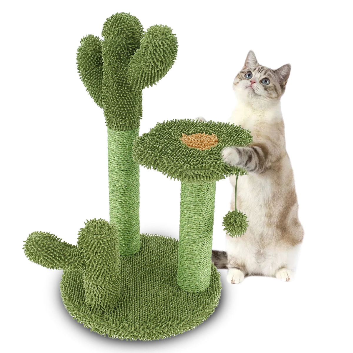cute scratching post