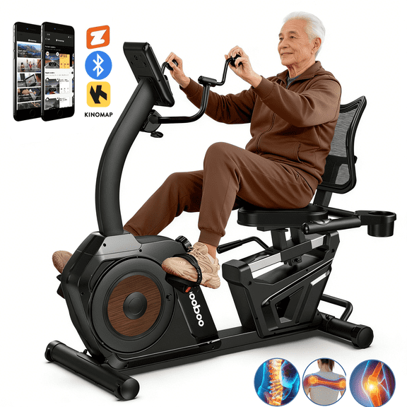 LNOW Magnetic Recumbent Exercise Bike, Stationary Bikes for Home with Arm Exerciser, with Ergonomic Backrest & Comfortable Seat, Smart APP, Pulse Sensor, 400LBS