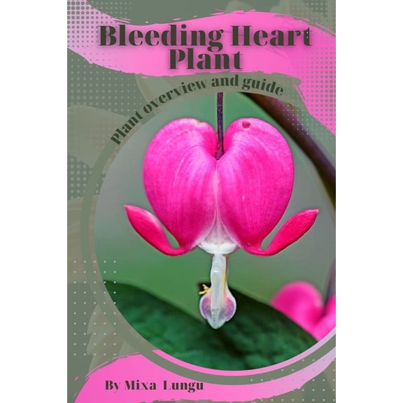 Bleeding Heart Plant: Plant overview and guide