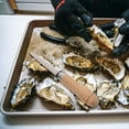 thumbnail image 4 of OULII Khaki Colored Oyster Shucking Tool For Seafood Preparation 1Pack, 4 of 8
