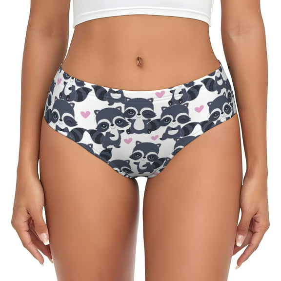 Womens Underwear - Cartoon Raccoon No Show Seamless Underwear for Women, Stretch Women's Panties, Hipster Soft Comfort Ladies Panties Bikini Underwear Briefs