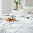 Cozy Comfort All Season Down Alternative Comforter Duvet Insert
