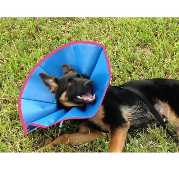 ElizaSoft Recovery Flexible Elizabethan Dog Collars