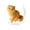 B, variante sur Hxlamzoo Jouets pour Enfants Pétrissage Simulation Animal de Compagnie Soulagement du Stress Jouets de Soulagement du Stress Jouets Liquidation