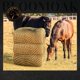 thumbnail image 2 of Comedero de malla para heno lento BLOOMOAK, duradero y suave, negro, polietileno, 2 of 6