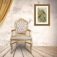 thumbnail image 3 of Johann Friedrich Naumann 18x24 Gold Ornate Framed and Double Matted Museum Art Print Titled - Coccothraustes Coccothraustes, 3 of 4
