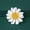 White, variant on Niedliche Sonnenblumen-Brosche für Hijab-Hüte, Kleider oder Taschen, Schmuckzfp-Green