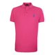 thumbnail image 1 of Playera Polo Club Of Berkshire. Varios Colores Y Tallas, 1 of 3