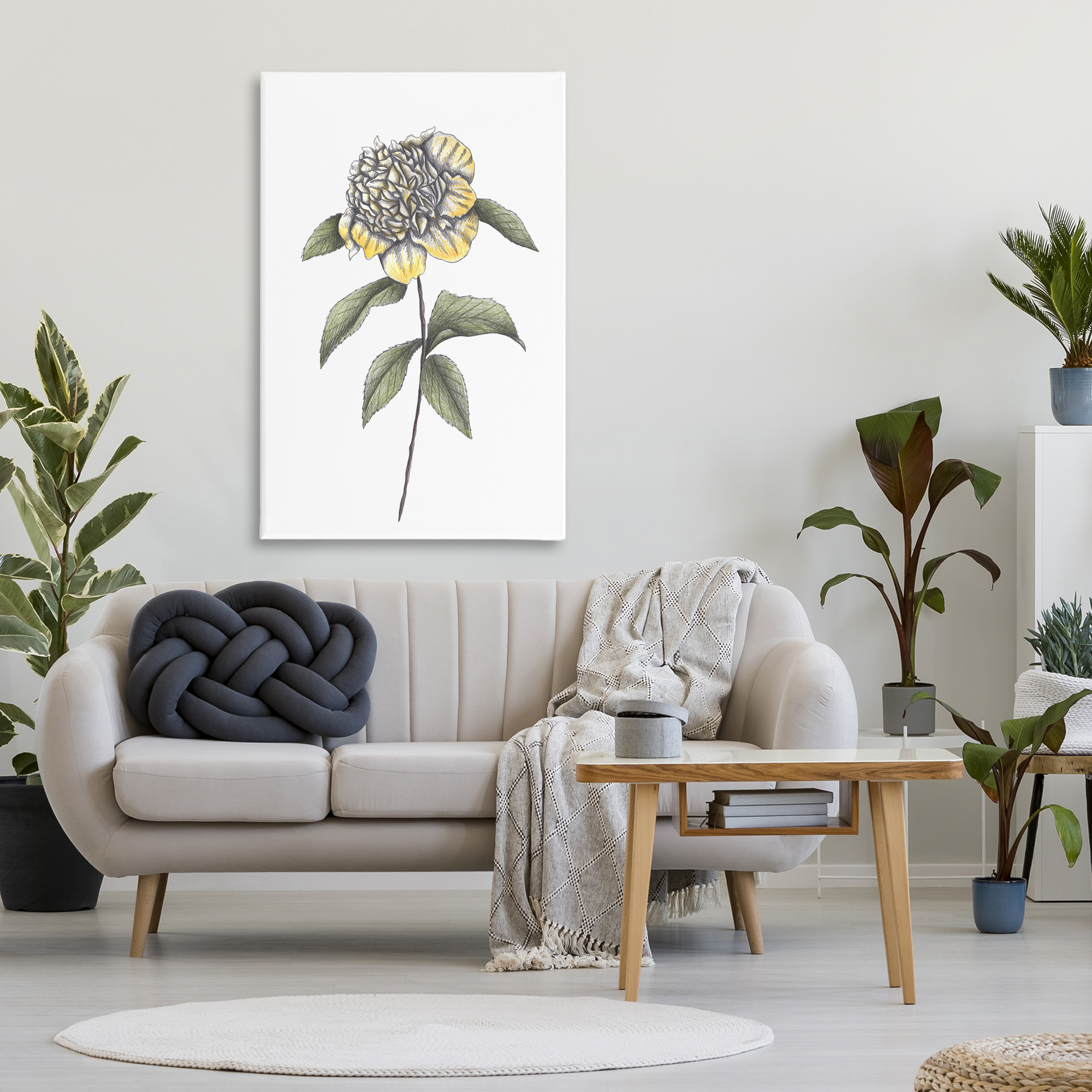 Camellia Flower Illustration Canvas Wall Art, design by Cecilia Battaini