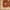 Rust, variant on Mark&Day Area Rugs, 6ft Round Malakoff Traditional Dark Green Area Rug (6' Round)
