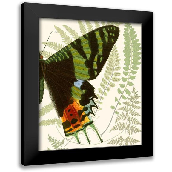 Vision Studio 12x14 Black Modern Framed Museum Art Print Titled - Butterfly Symmetry II
