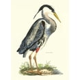 thumbnail image 3 of Selby, John 11x14 Black Modern Framed Museum Art Print Titled - Great Blue Heron, 3 of 5