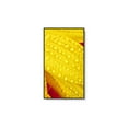 thumbnail image 4 of NEC MultiSync M551 2, 4 of 15