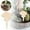 C, variante sur TIELUTT Jardin DIY Suspensions en Bois pour Pots de Fleurs Ornement d'Identification Fait Main Chapeau en Verre Ornement de Noël Transparent pour Artisanat en Vrac Petite Poule Ornement Guirlande pour Décoration