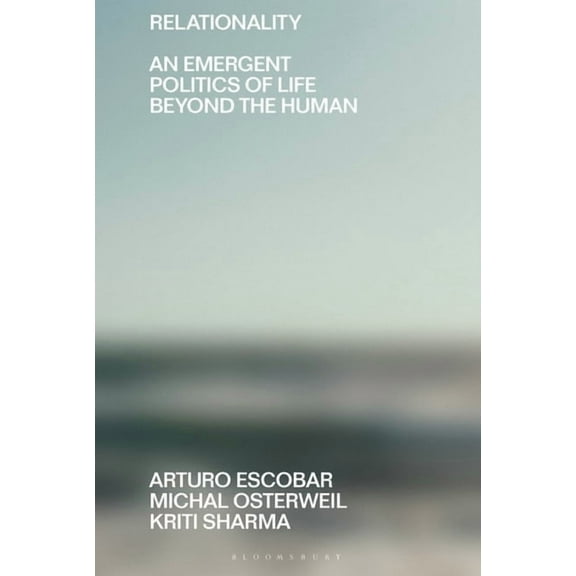 Beyond the Modern Relationality: An Emergent Politics of Life Beyond the Human, (Paperback)