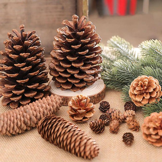 18 a 2 cm Conos de pino natural Pi?as de Navidad Oto?o Halloween Acción de gracias Guirnalda de Navidad Dec LingWen 8390612309878