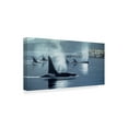thumbnail image 2 of Trademark Fine Art 'Morning Mist' Canvas Art by Ron Parker, 2 of 3