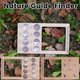 thumbnail image 2 of Buscador De Guías Naturales, Buscador De Pájaros/Visor De Luna, Adecuado Para Materiales De Educación En El Hogar, Estudio Al Aire Libre Para Niños, Juguete Montessori Divertido Muyoka Hogar, 2 of 7