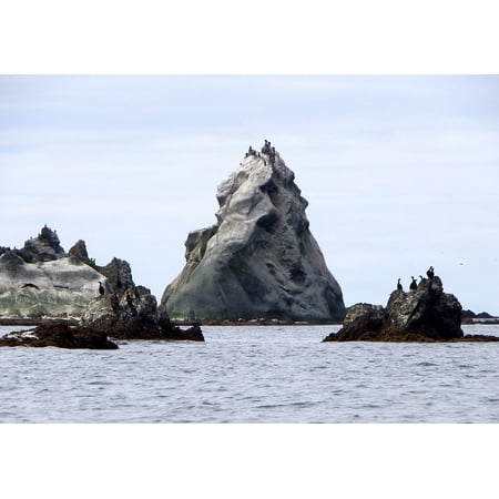 - Peel-n-Stick Poster of Rocks Bay Bird Colonies Islands In The Ocean Gulls Poster 24x16 Adhesive Sticker Poster Print