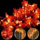thumbnail image 1 of guirlande D'automne, Dcoration D'automne, Guirlande 30 Lumineuses, Guirlande De Feuilles D'automne, Dcoration Nol Halloween, Dcoration Thanksgivin, 1 of 5