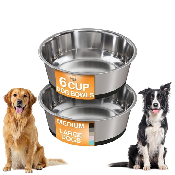 Comederos para perro Neater Pet Brands de acero inoxidable, 2 unidades, 1,4 L