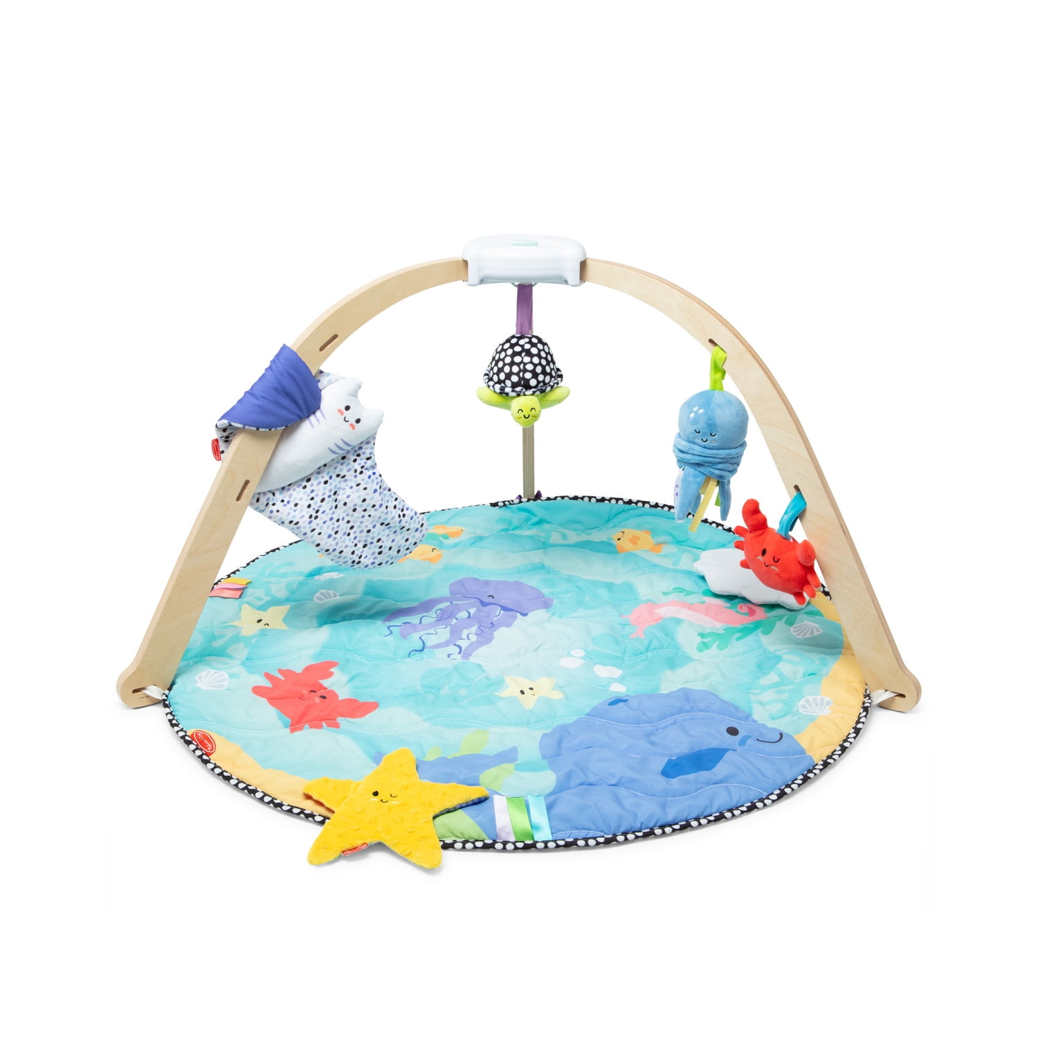 Melissa & Doug Ocean Easy-Fold Play Gym Developmental Toy for Infants up to 9 Months - FSC Certified