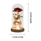 thumbnail image 3 of Specollect 2 Pcs Rose Flower Dome Night Light with LED, Romantic Home Decor Gift for Women, Preserved Real Rose and Teddy Bear, Warm White Lights for Bedroom Desk Decoration, 3 of 9