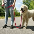 thumbnail image 3 of zalens Dog Leash Double Handle 4ft Long, Padded Traffic Handle and Reflective, Red, 3 of 6