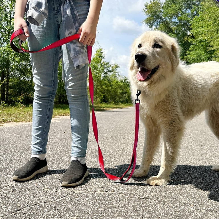 animal shaped rope dog toys Cosy Corduroy Animal Rope Neck Plush Dog Toy Soft Play Buddy – The Treatery main image 0