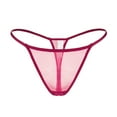 thumbnail image 3 of Culottes pour Femmes en Maille Transparente Brodées avec Design Taille Basse, sous-Vêtements Doux et Confortables, Grande Taille, 3 of 3