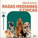 thumbnail image 3 of Casa para perros Mediano / Chico MascoAmigo con Puerta Metálica-Térmica-de plástico 75x65x63 cm Azul, 3 of 7