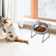 thumbnail image 6 of APLVFFZH Cat Bowl Decor with Holder Stand Elevated Pet Feeder for Kitten Outdoor Dogs Cartoon Single Bowl, 6 of 9