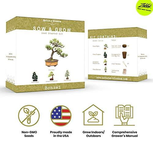 Nature's Blossom Bonsai Tree Kit - Cultivez 4 types de bonsaïs à