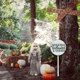 thumbnail image 3 of Eveokoki Home Halloween Yard Stake, 9.2x9.2 Inch Frightful Haunted And Cursed Aluminum Sign With Stake, Outdoor Decoration Garden Lawn Driveway Yard Sign for Halloween, 3 of 6