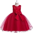 thumbnail image 2 of Vestido de niña Vestido de niña de flores Falda de niña de flores Vestido de malla abullonada Vestido de encaje con lazo Vestidos de bebé, 2 of 5