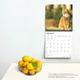 thumbnail image 5 of Ginger Cats | 2025 12x24" (Hanging) Square Wall Calendar | BrownTrout, 5 of 9